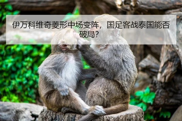 yi-wan-ke-wei-qi-ling-xing-zhong-chang-bian-zhen-guo-zu-ke-zhan-tai-guo-neng-fou-po-ju-3-890.jpg