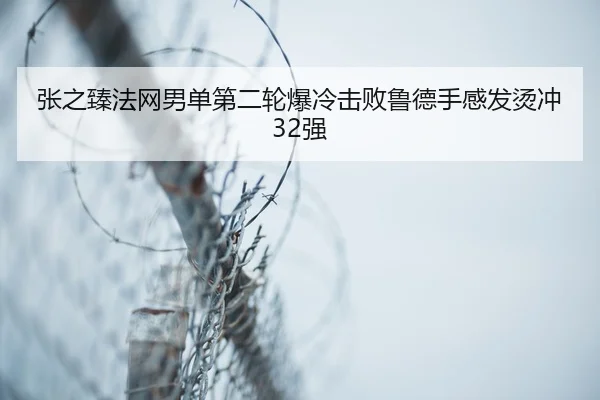 zhang-zhi-zhen-fa-wang-nan-dan-di-er-lun-bao-leng-ji-bai-lu-de-shou-gan-fa-tang-chong-qiang-3-932.jpg