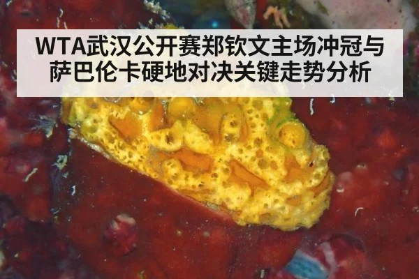 WTA武汉公开赛郑钦文主场冲冠与萨巴伦卡硬地对决关键走势分析