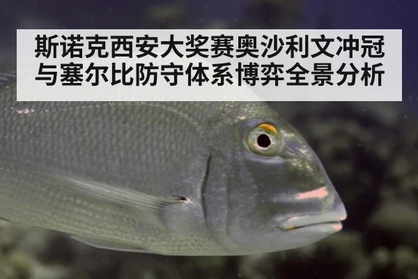 斯诺克西安大奖赛奥沙利文冲冠与塞尔比防守体系博弈全景分析